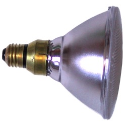 PAR38 bulb with rim